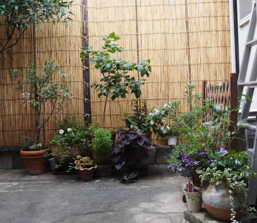 Guesthouse Usagi-Momiji เกียวโต ภายนอก รูปภาพ